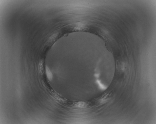 X0000062640127200601041107