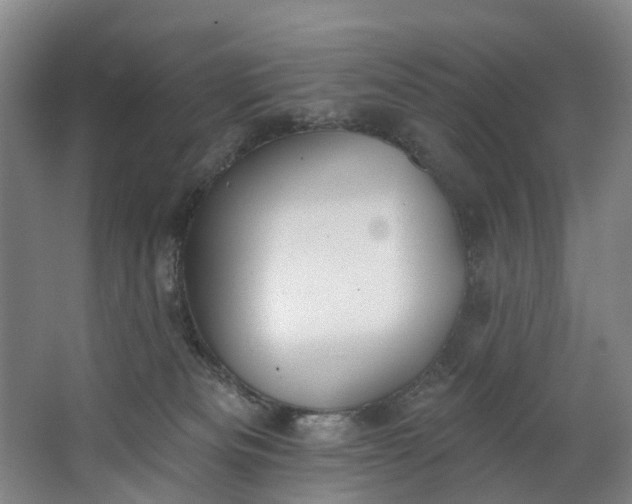 X0000062640133200601041107