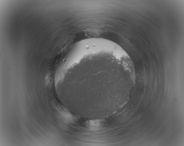 X0000062640134200601041107