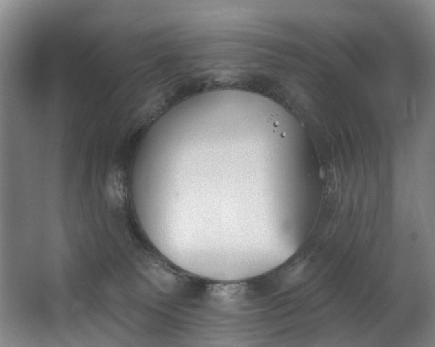 X0000062640135200601041107