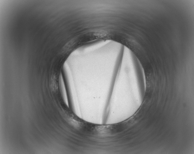 X0000062640136200601041107