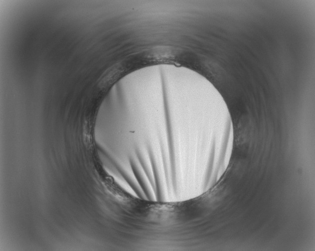 X0000062640140200601041107