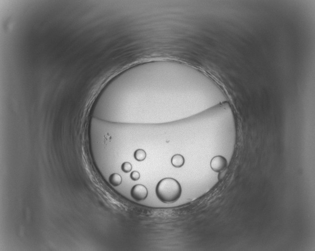 X0000062640145200601041106