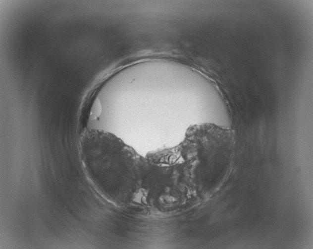 X0000062640149200601041106