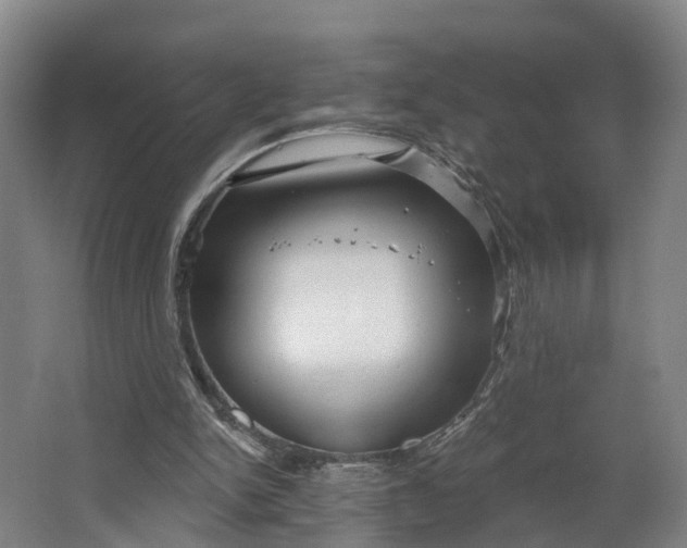 X0000062640150200601041106