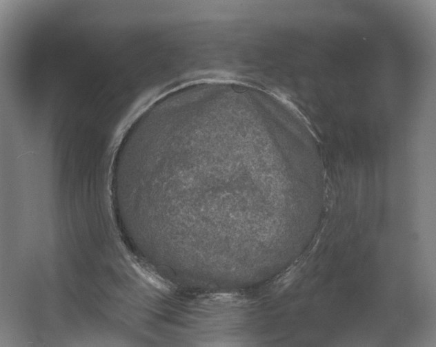 X0000062640151200601041106