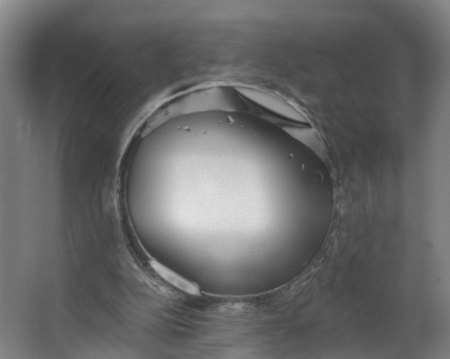 X0000062640152200601041106