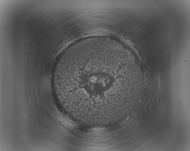 X0000062640154200601041106