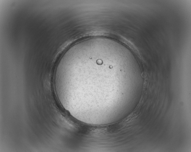 X0000062640155200601041106