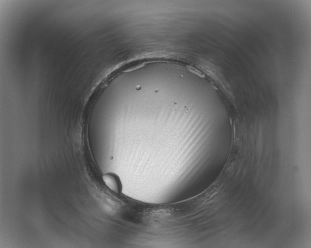 X0000062640156200601041106