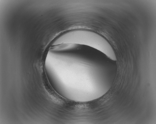 X0000062640160200601041106