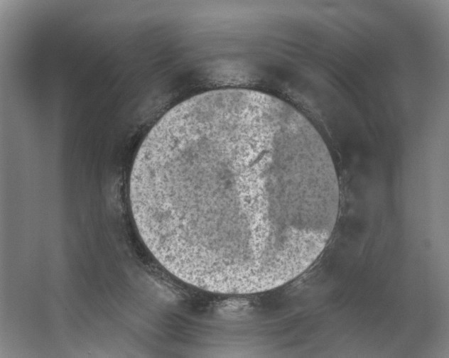 X0000062640162200601041106