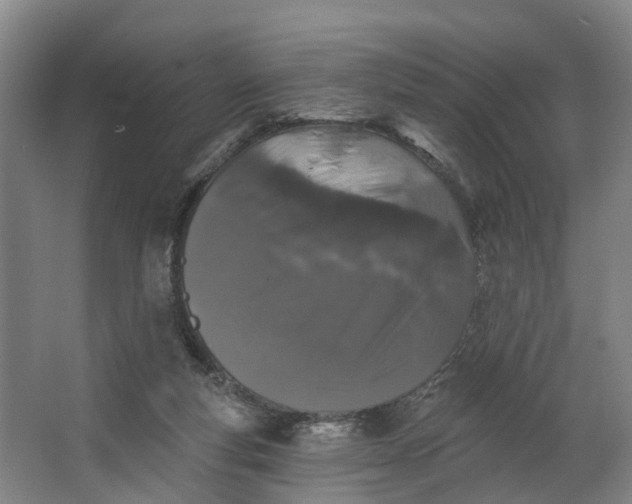 X0000062640163200601041106