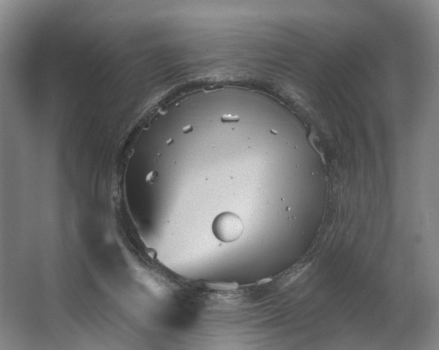 X0000062640164200601041106