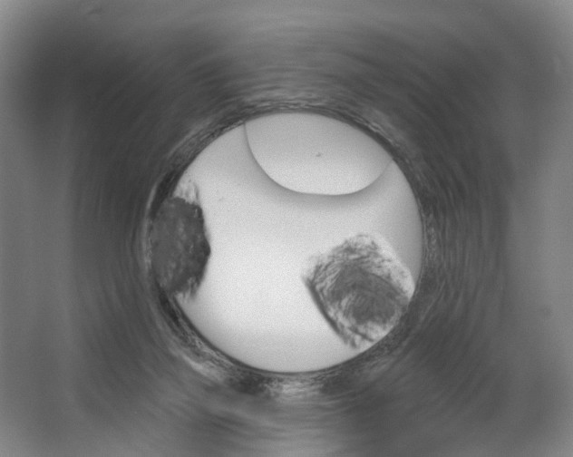 X0000062640165200601041106