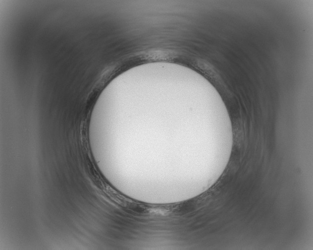 X0000062640167200601041106