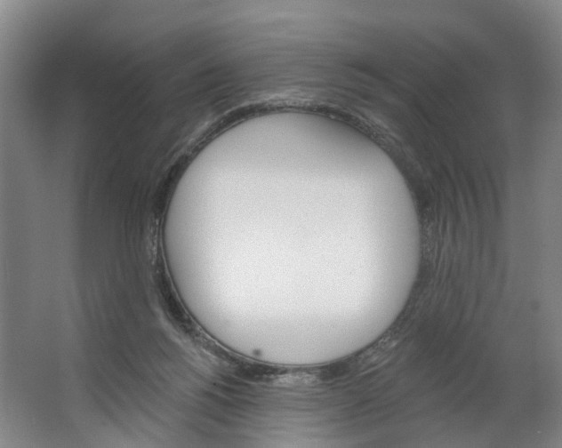 X0000062640168200601041106