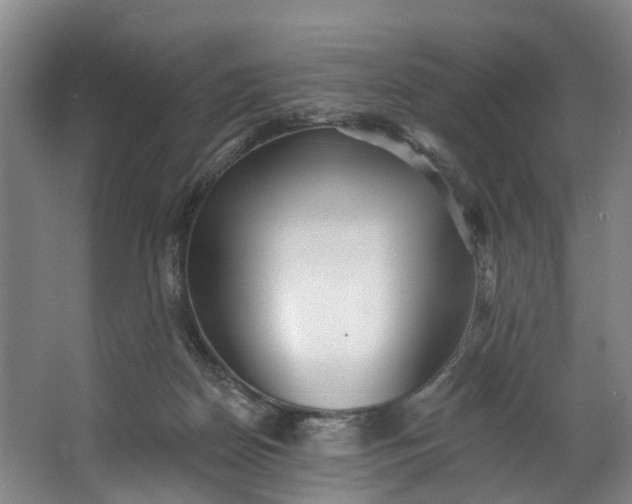 X0000062640170200601041106