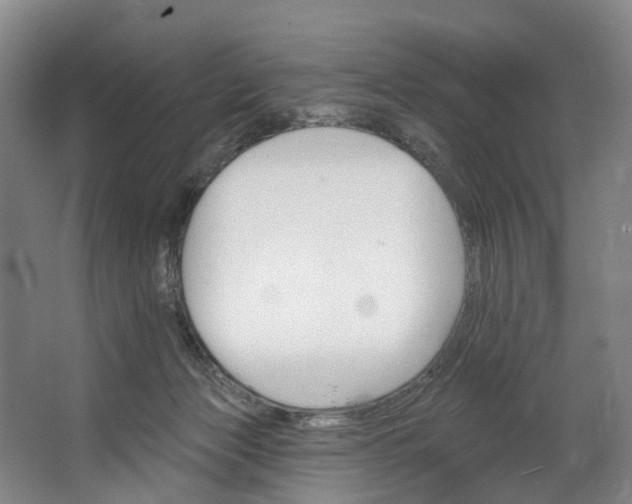 X0000062640173200601041106