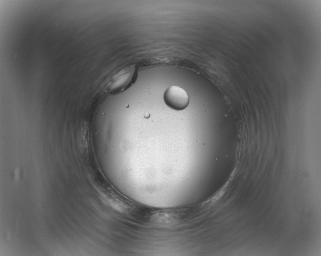 X0000062640174200601041106