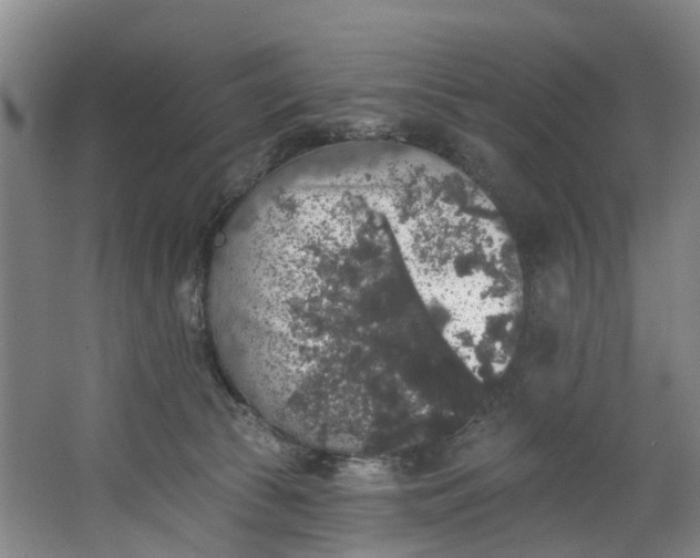 X0000062640177200601041106