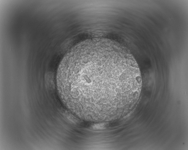 X0000062640178200601041106