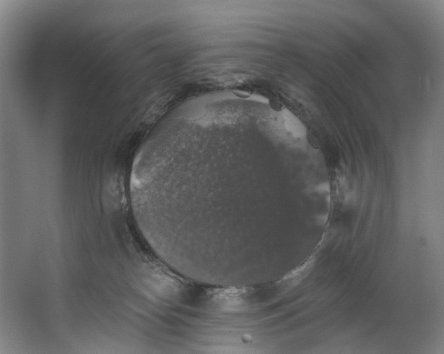 X0000062640182200601041106