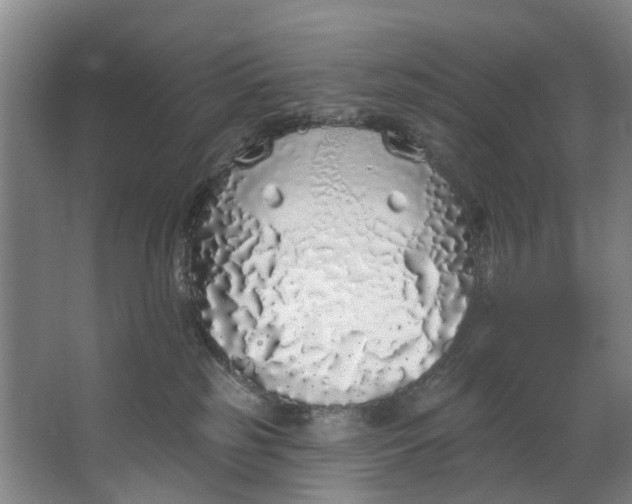 X0000062640185200601041106