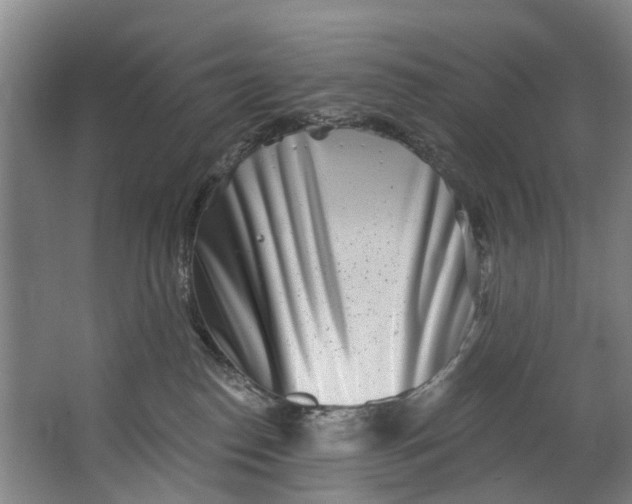 X0000062640186200601041106