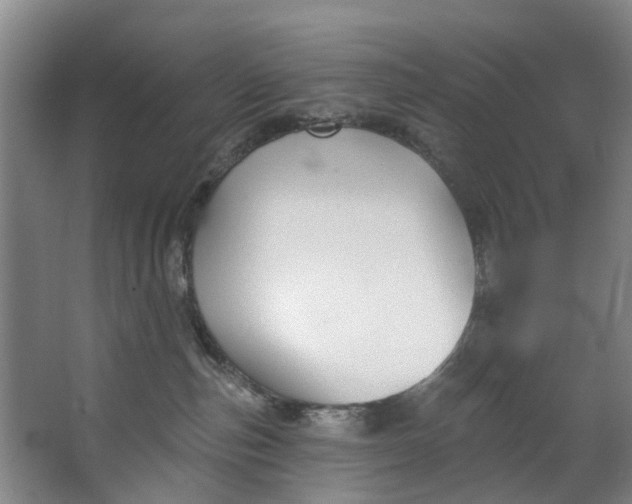 X0000062640187200601041106