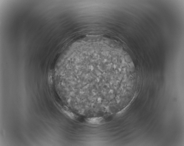 X0000062640191200601041106