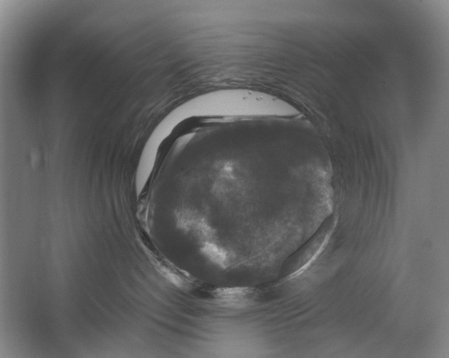 X0000062640192200601041106