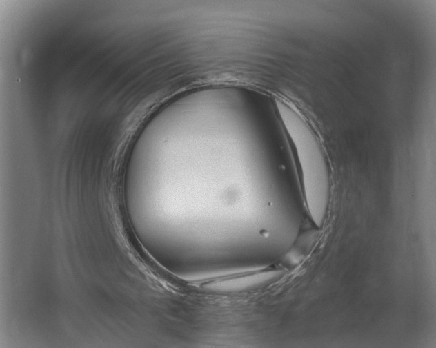 X0000062640193200601041106