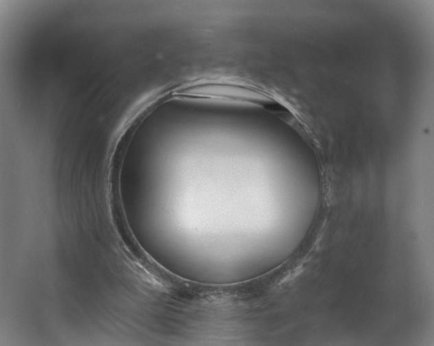 X0000062640199200601041106