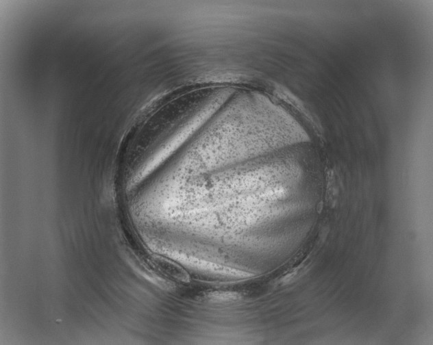 X0000062640203200601041106