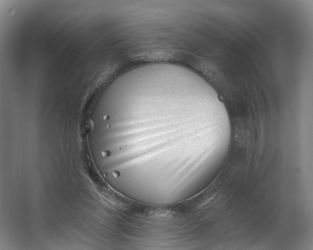 X0000062640206200601041105