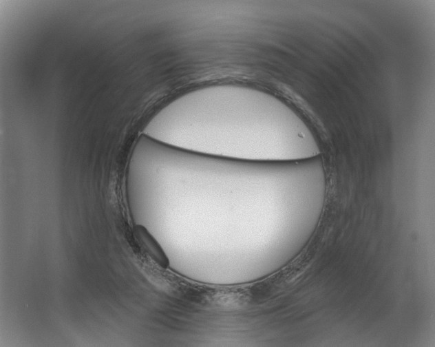 X0000062640209200601041105