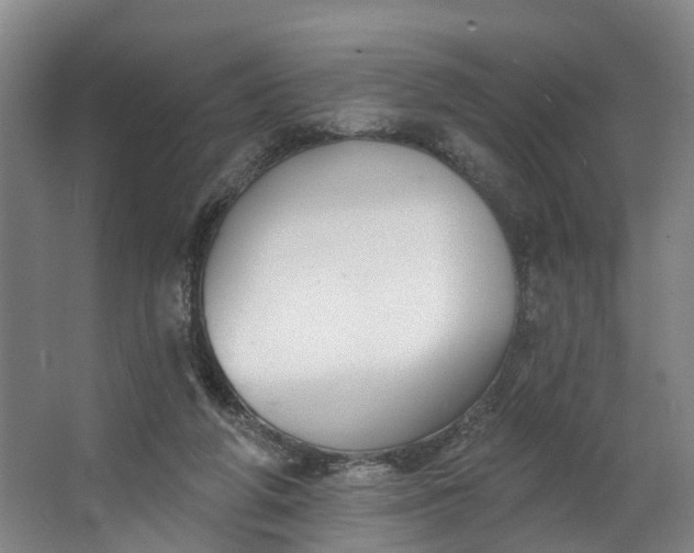 X0000062640210200601041105