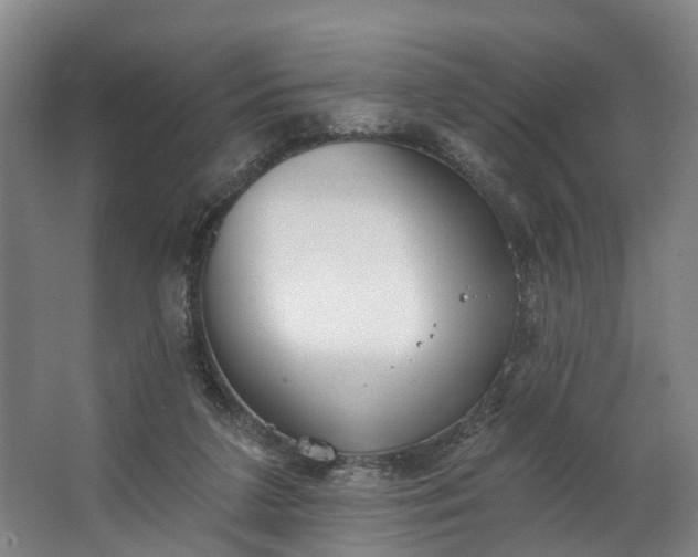 X0000062640211200601041105