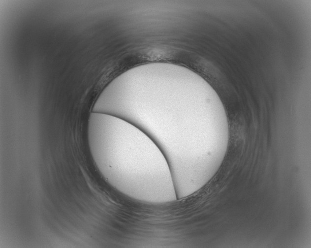 X0000062640214200601041105