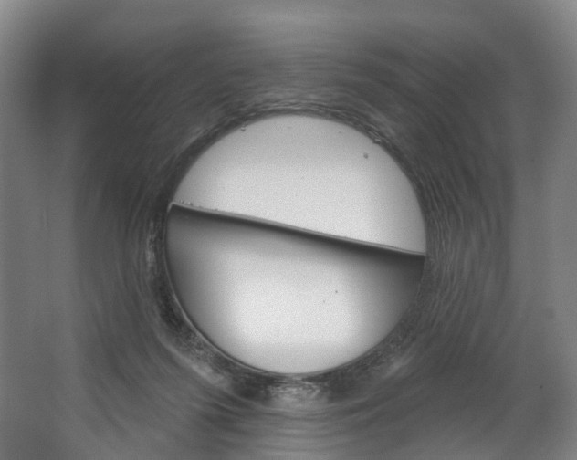 X0000062640215200601041105