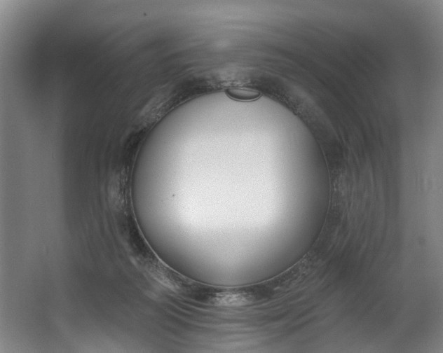 X0000062640218200601041105