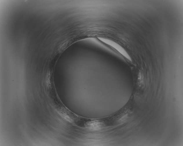 X0000062640219200601041105