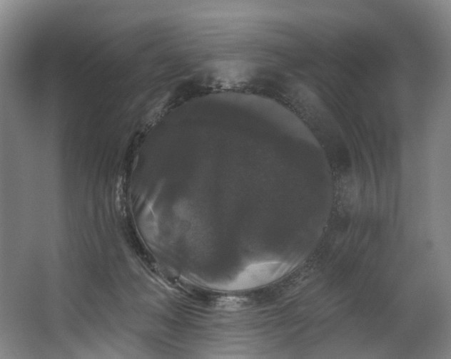 X0000062640222200601041105