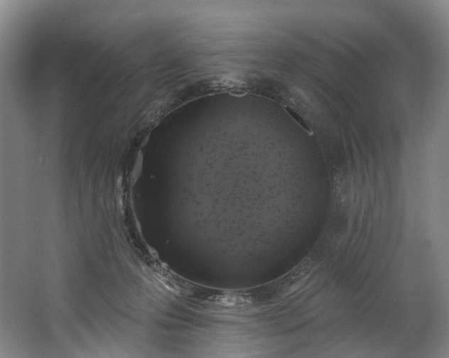 X0000062640223200601041105