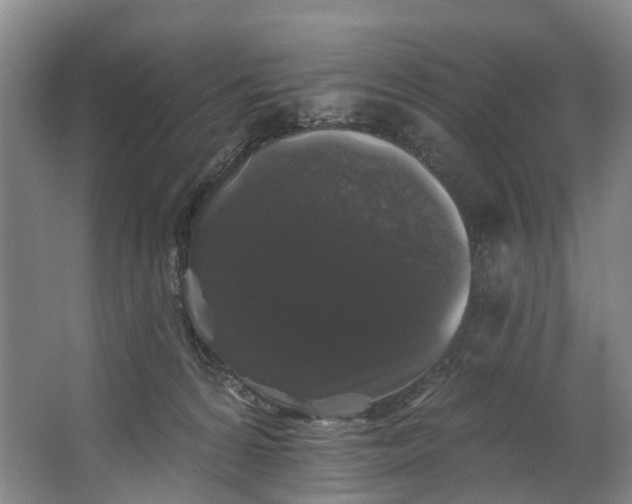 X0000062640224200601041105