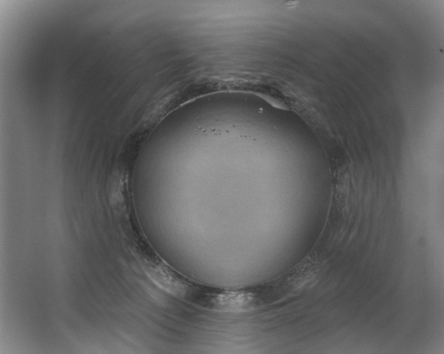 X0000062640225200601041105