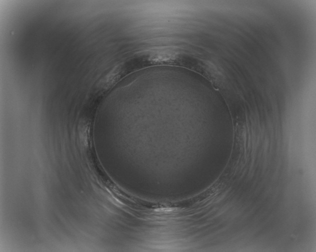 X0000062640227200601041105