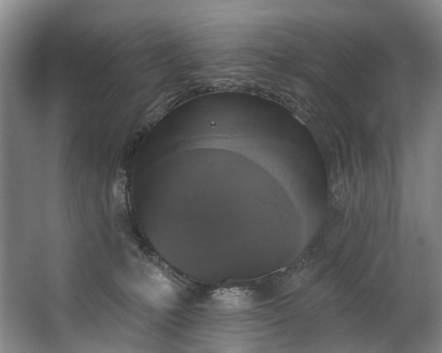 X0000062640231200601041105