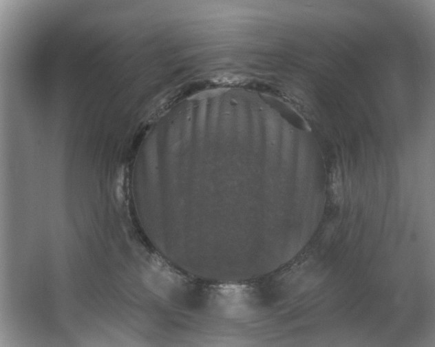 X0000062640233200601041105